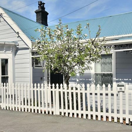 In Dunedin'S Heart, Full House, Full Sun, Full Chill, Why Stay At A Hotel When You Can Afford An Entire House Zewnętrze zdjęcie