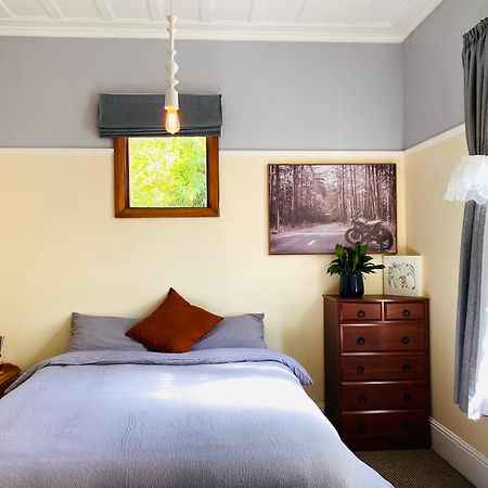In Dunedin'S Heart, Full House, Full Sun, Full Chill, Why Stay At A Hotel When You Can Afford An Entire House Zewnętrze zdjęcie