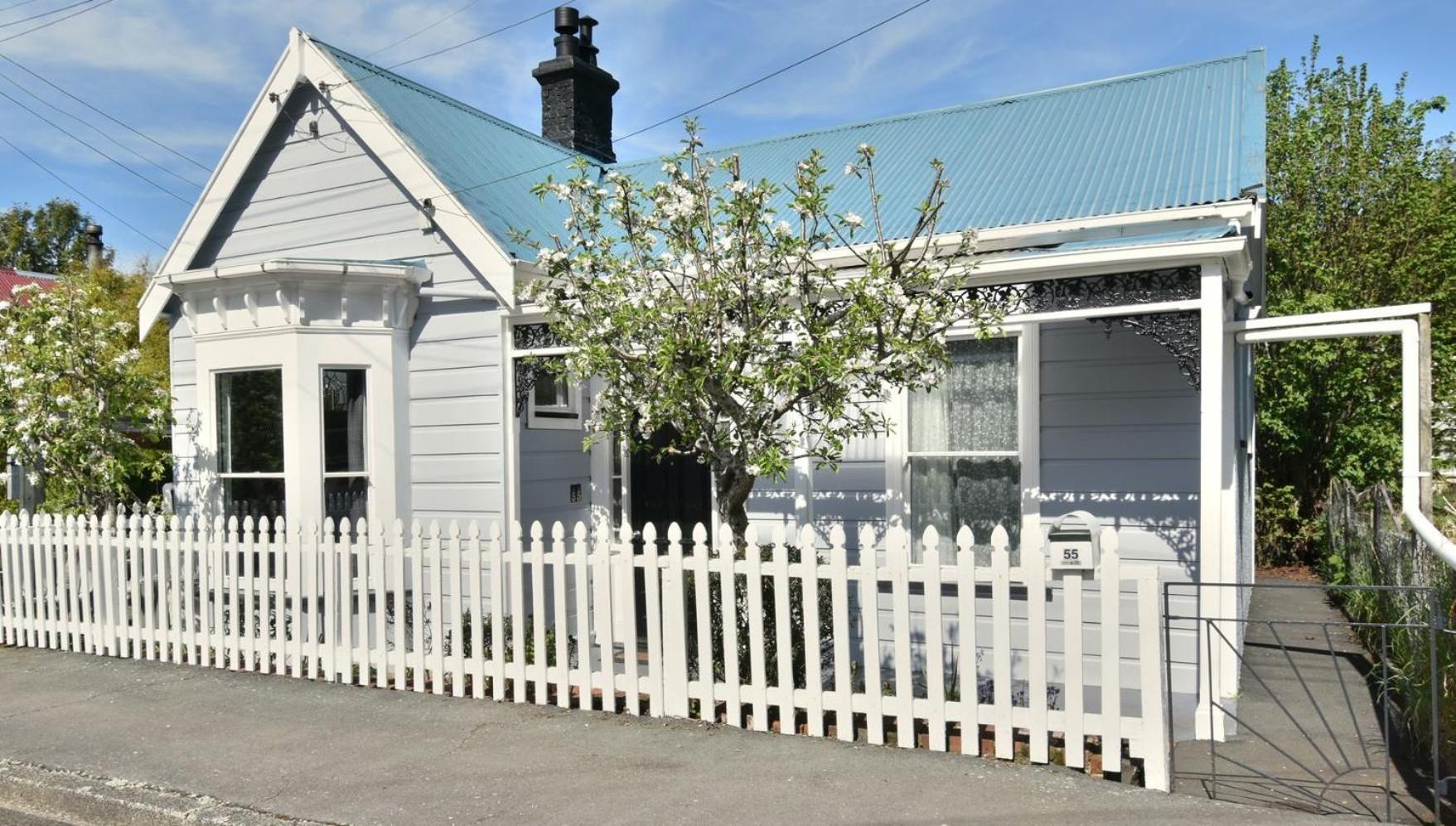 In Dunedin'S Heart, Full House, Full Sun, Full Chill, Why Stay At A Hotel When You Can Afford An Entire House Zewnętrze zdjęcie