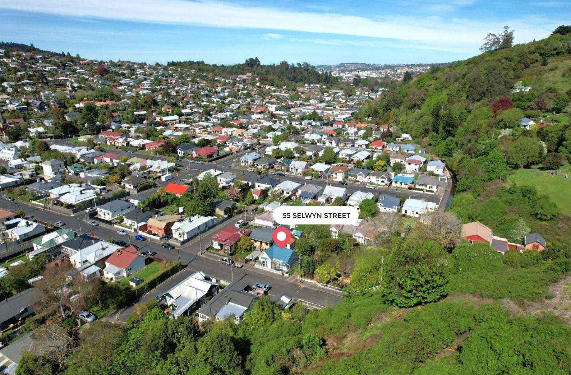 In Dunedin'S Heart, Full House, Full Sun, Full Chill, Why Stay At A Hotel When You Can Afford An Entire House Zewnętrze zdjęcie